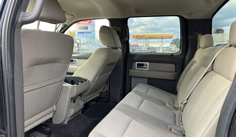 
								2009 Ford F-150 full									