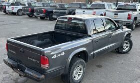 2003 Dodge Dakota Sport