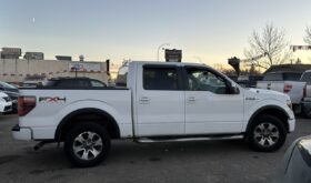 2011 Ford F-150 FX4