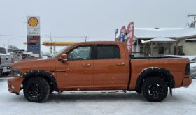 2010 DODGE RAM 1500 SPORT