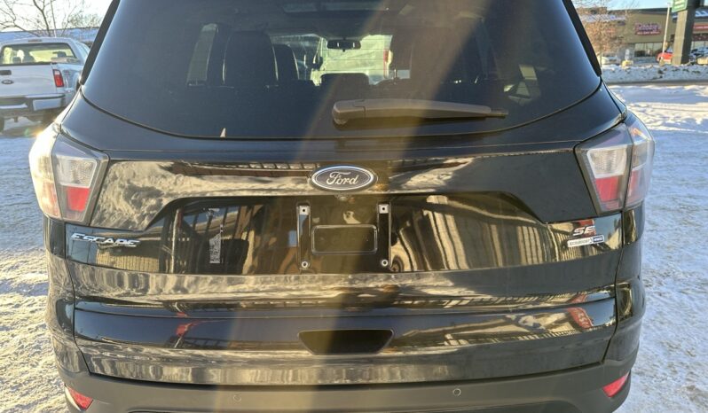 
								2017 Ford Escape full									