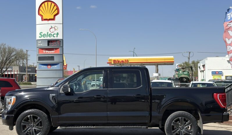 
								2021 Ford F-150 XLT full									