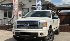 Ford Platinum