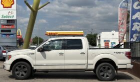 Ford Platinum
