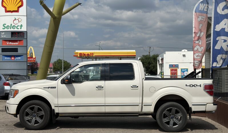 2009 Ford F-150 Platinum