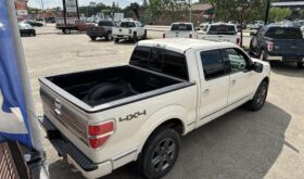 Ford Platinum