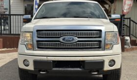 Ford Platinum