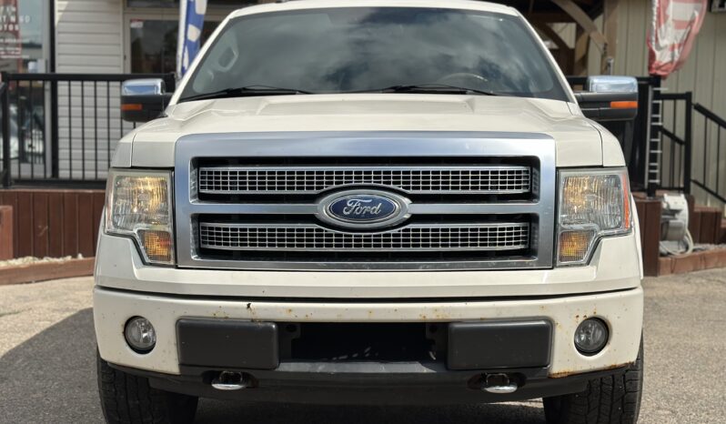 2009 Ford F-150 Platinum