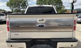 Ford Platinum