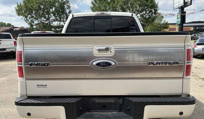 2009 Ford F-150 Platinum